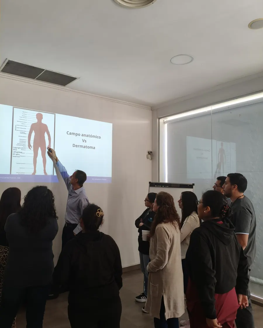 Participantes frente a la proyección de campos anatómicos y dermatomas.